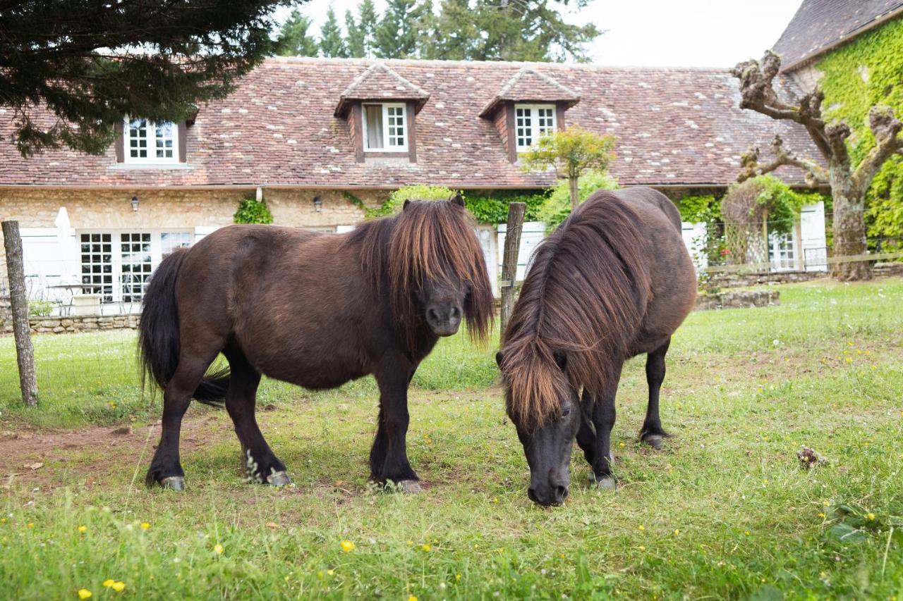 Hotel La Metairie - Teritoria- Les Collectionneurs Mauzac-et-Grand-Castang Εξωτερικό φωτογραφία